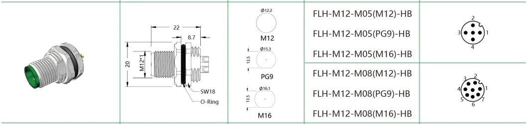 M12 Plate Connector 8pin Male After Panel with M16 Hole